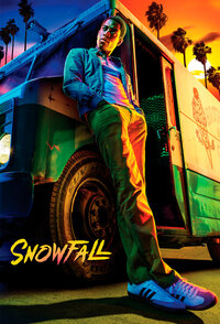 Snowfall